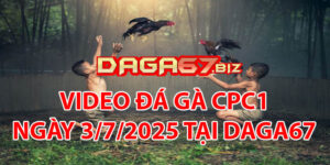 VIDEO ĐÁ GÀ CPC1 NGÀY 3/7/2025 TẠI DAGA67
