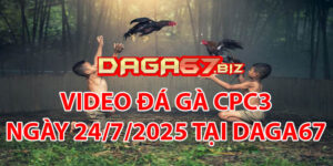 VIDEO ĐÁ GÀ CPC3 NGÀY 24/7/2025 TẠI DAGA67