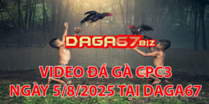 VIDEO ĐÁ GÀ CPC3 NGÀY 5/8/2025 TẠI DAGA67